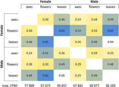 Genome and Transcriptome Sequencing of Populus × sibirica Identified Sex-Associated Allele-Specific Expression of the CLC Gene